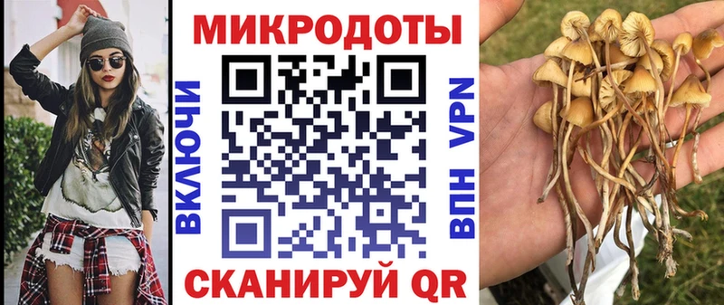 Псилоцибиновые грибы GOLDEN TEACHER  Купить где  Терек 